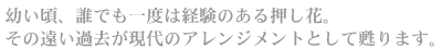 幼い頃、誰でも一度は経験のある押し花。その遠い過去が現代のアレンジメントとして甦ります。